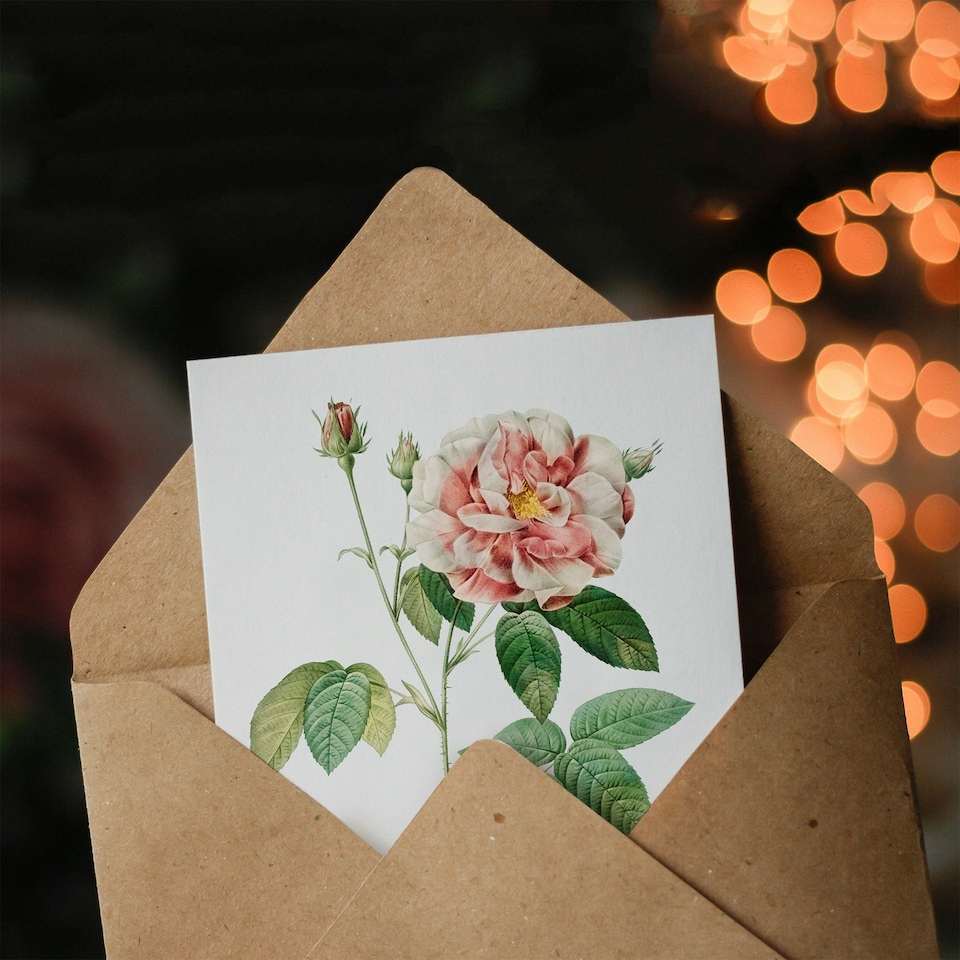 image 1 of Pierre-Joseph Redouté Art Card Rosa Gallica Giant Rose Vintage Floral