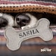 image 2 of History & Heraldry Pre-Personalised Squeaky Bone Dog Toy - Sasha