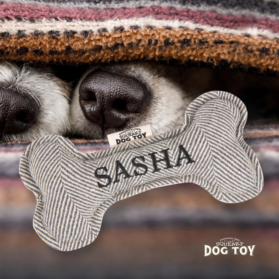 image 1 of History & Heraldry Pre-Personalised Squeaky Bone Dog Toy - Sasha