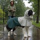image 7 of PawHut Dog Raincoat with Hood, Dog Rain Jacket, for Medium Dogs, M