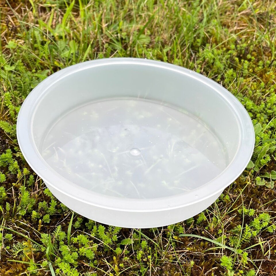 image 1 of Bird Bath Water Dish for Metal Bird Feeding Stations (Set of 2)