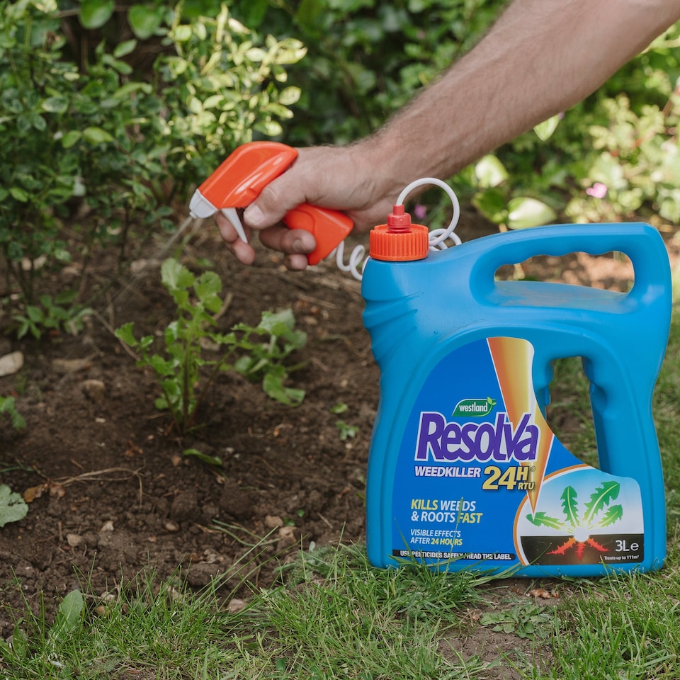 image 1 of Resolva 24H Ready to Use Weedkiller