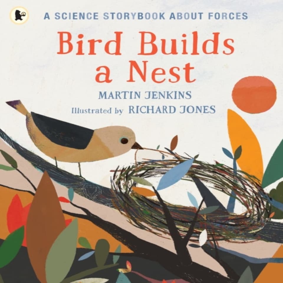 Bird Builds A Nest