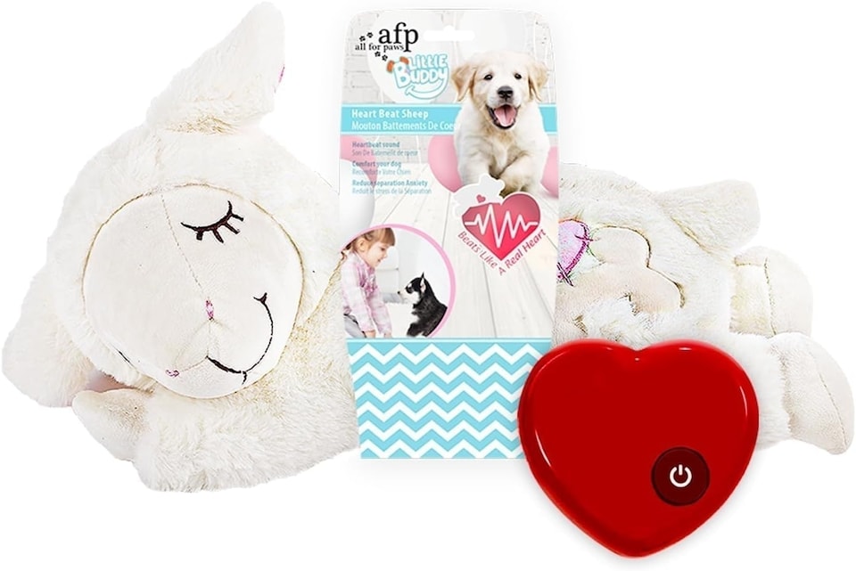 image 1 of All For Paws Little Buddy Heart Beat Sheep Puppy Toy