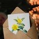 image 3 of Pierre-Joseph Redouté Art Card Golden Guinea Vine Flowers
