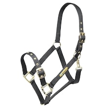 ARMA Adjustable Horse Headcollar - Black - Full
