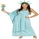 image 1 of Fancy Dress Adult Statue Of Liberty - L