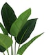 image 2 of Pack of 6 x 45cm Artificial Aureum Plant