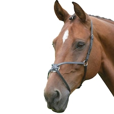 Blenheim Mexican Leather Horse Noseband - Black - Full