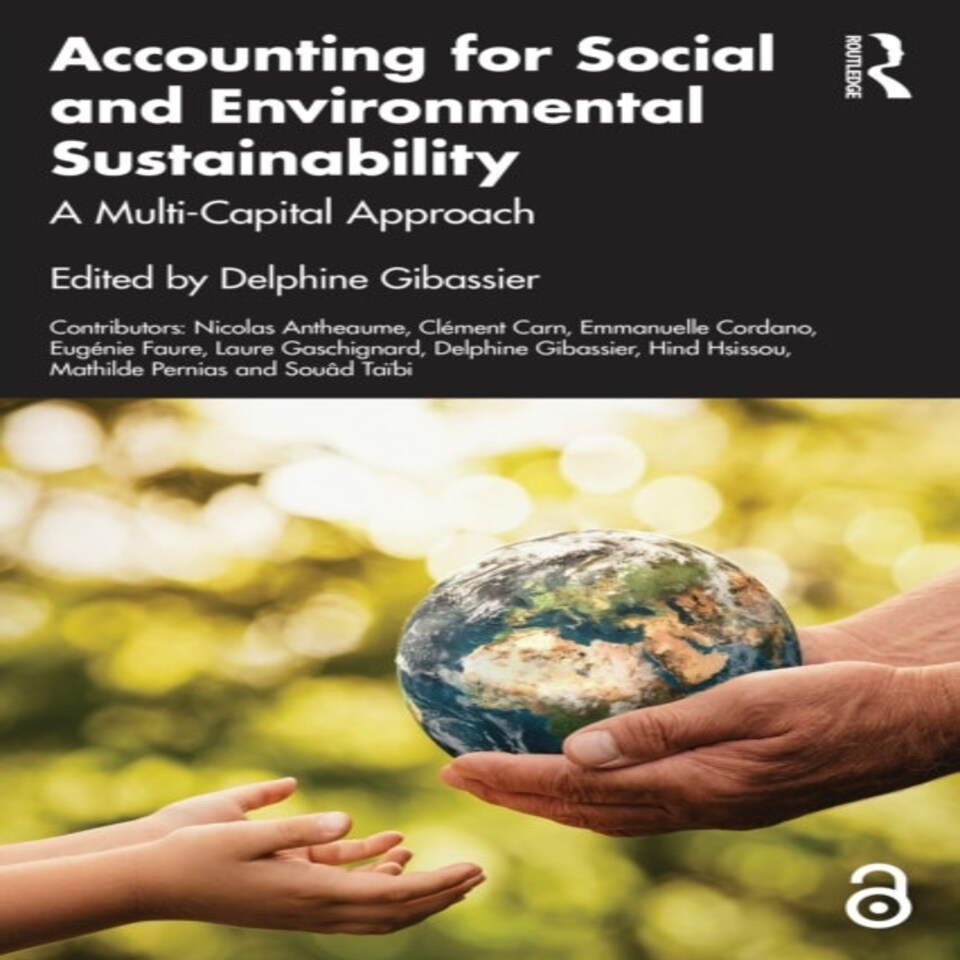 Accounting For Social And Environmental