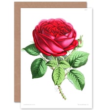 Flower Rose Red Botanical Vintage Classic Art Card