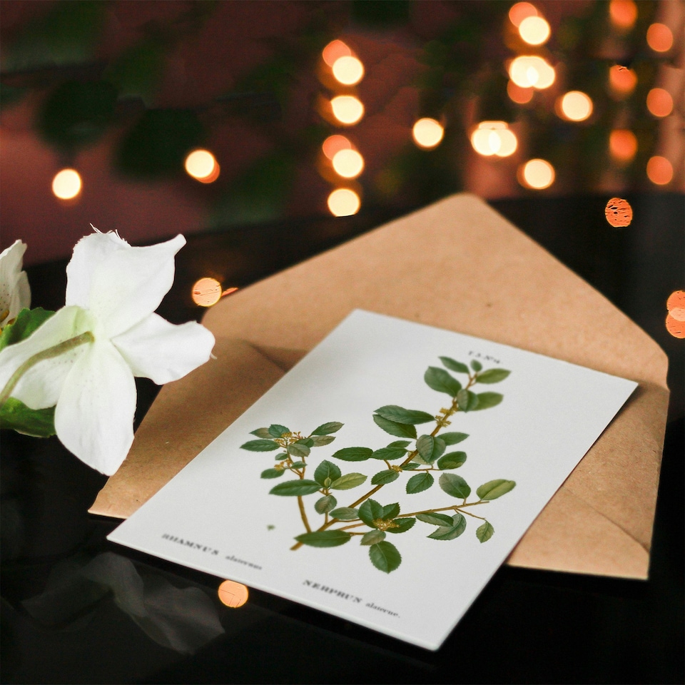 image 1 of Pierre-Joseph Redouté Art Card Italian Buckthorn Vintage Botanical