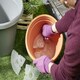 image 2 of Clever Pots Plant Pot Reservoir Reduces Water Waste 40Cm