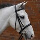 image 3 of Hy Padded Cavesson Bridle with Rubber Grip Reins - Black - Full