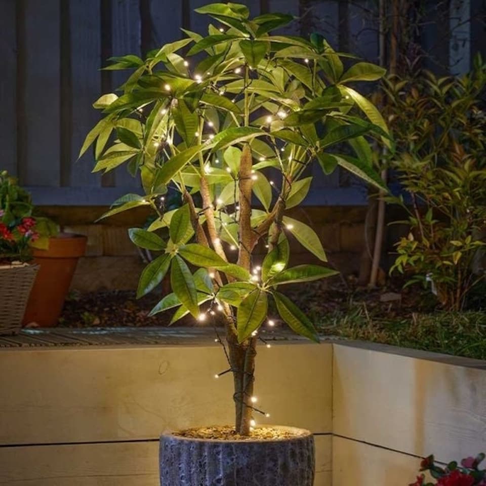 image 1 of Solar Powered 200 Warm White String Lights LED | Green | 1