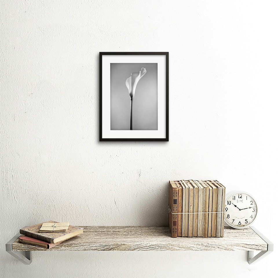 image 1 of Single Calla Lily Flower Black White Floral Photograph 9x7" Black Framed Wall Art Print
