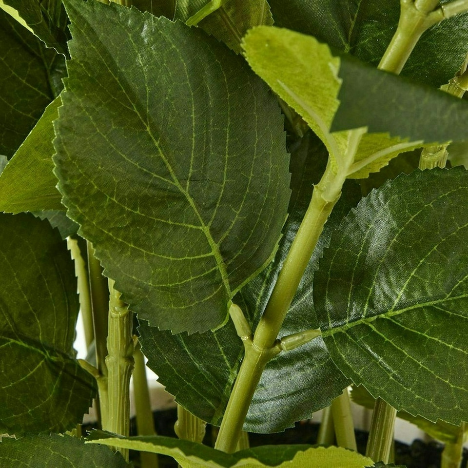 image 1 of Large Hydrangea Plant in Pot - Plastic - L63 x W63 x H79 cm - White
