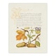image 3 of Model Book of Calligraphy Framed Wall Art Daffodil Flower and Oak Acorns