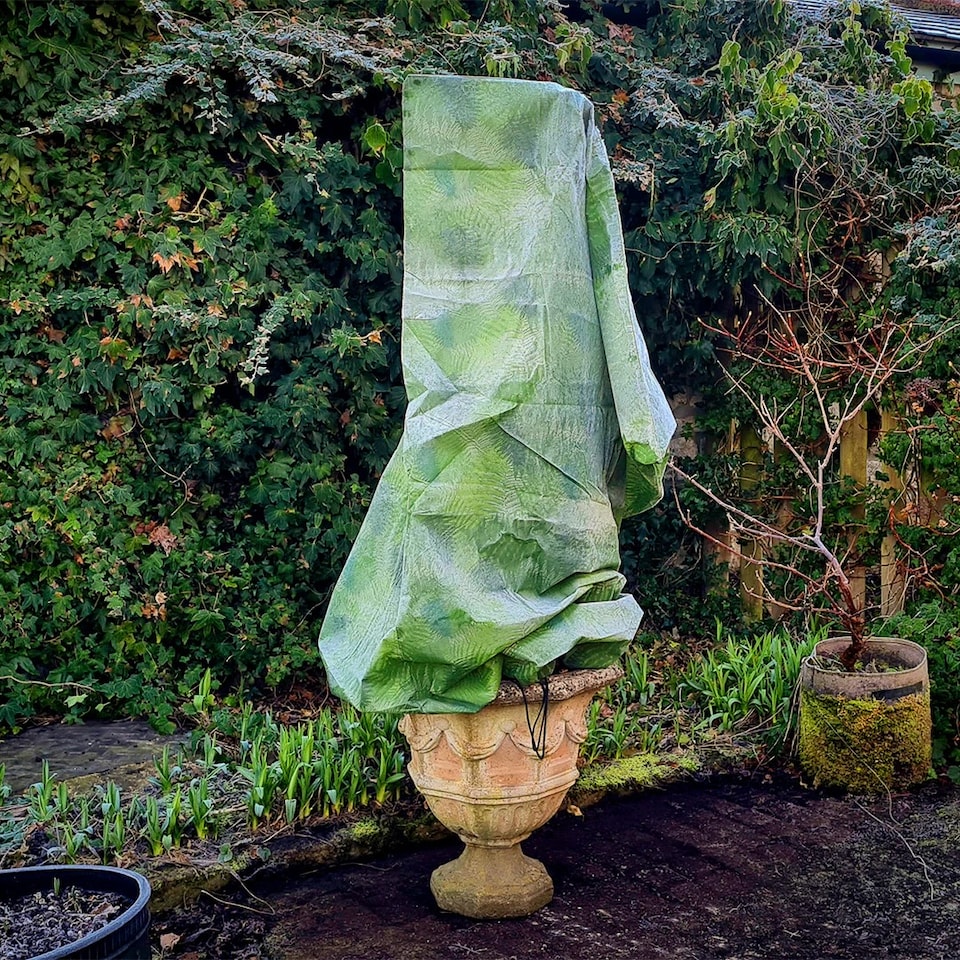 image 1 of Haxnicks Fern Fleece Jackets Medium W80cm H100cm 3pk | Green