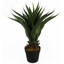 55cm Artificial Yucca Plant | Green | One Size
