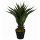 image 1 of 55cm Artificial Yucca Plant | Green | One Size