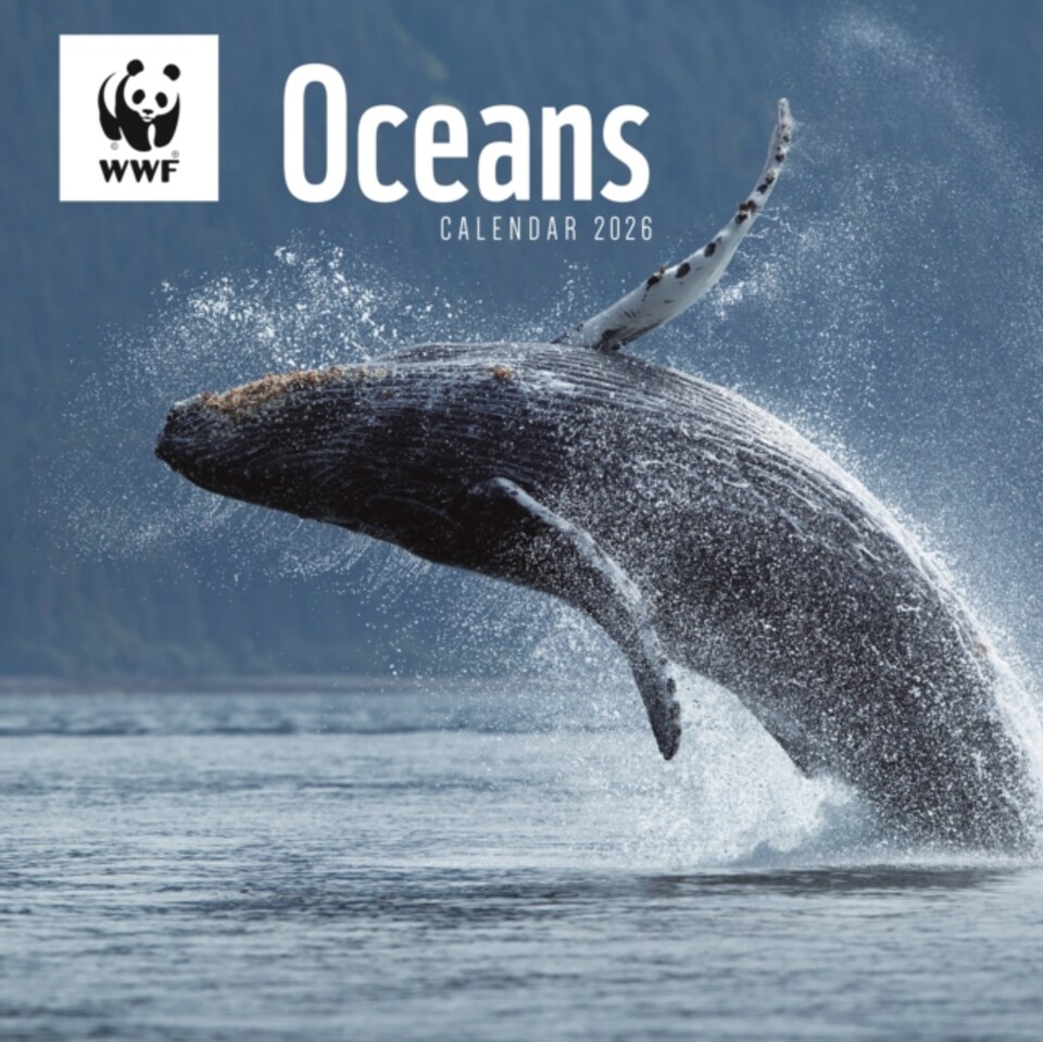 image 1 of Wwf Oceans Square Wall Calendar 2026