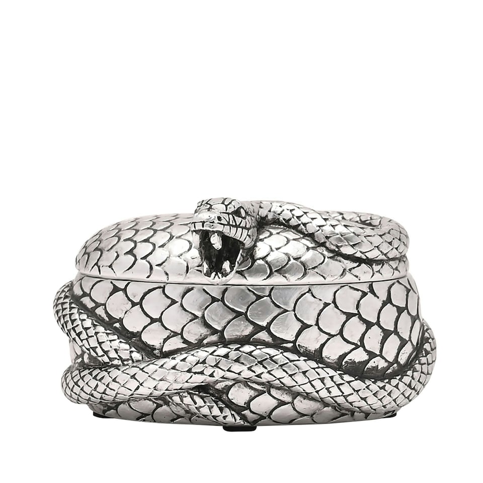 image 1 of Warner Bros Harry Potter Dark Arts Trinket Box - Nagini Silver