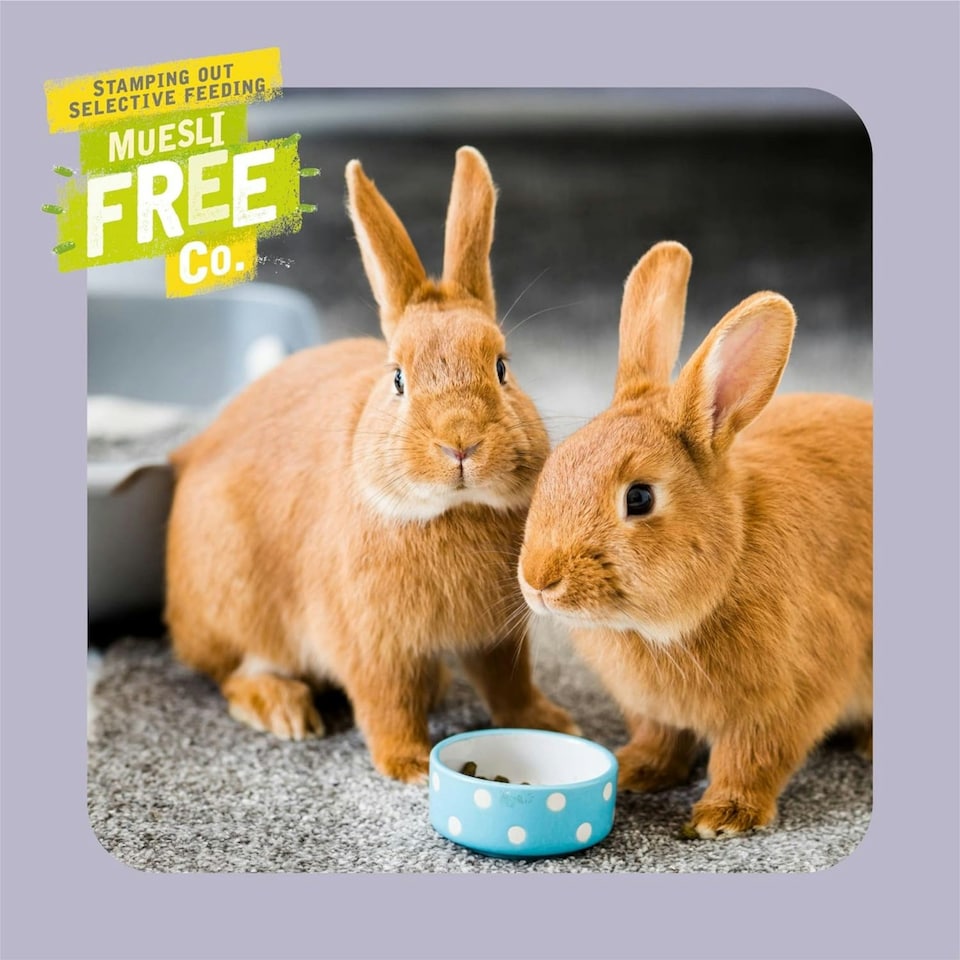 image 1 of Burgess Excel Adult Indoor Rabbit Nuggets - 10KG