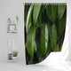 image 2 of Closeup of beautiful glossy green leaves (Shower Curtain)