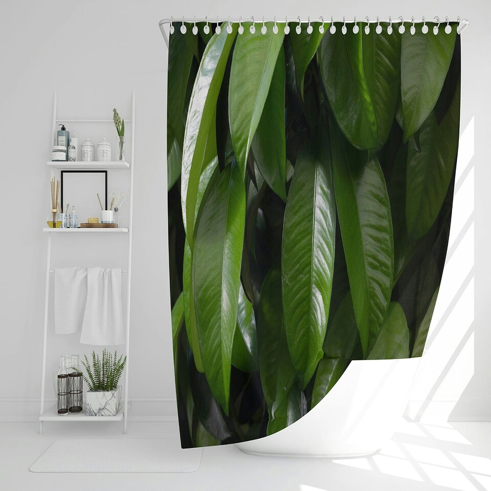 image 1 of Closeup of beautiful glossy green leaves (Shower Curtain)