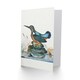 image 2 of James Bolton Art Card Common Kingfisher Vintage Illustration