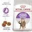 Size: 400g
Breed: Adult