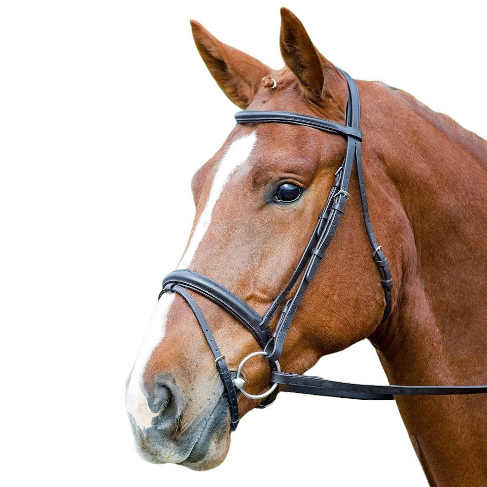 image 1 of Aviemore Comfort Fit Leather Horse Bridle - Black - Full