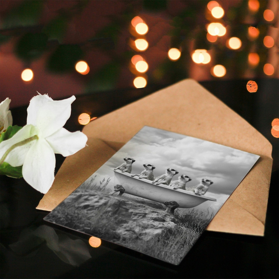image 1 of Meerkats in a Bathtub in Desert Black White Photo Birthday Greeting Card