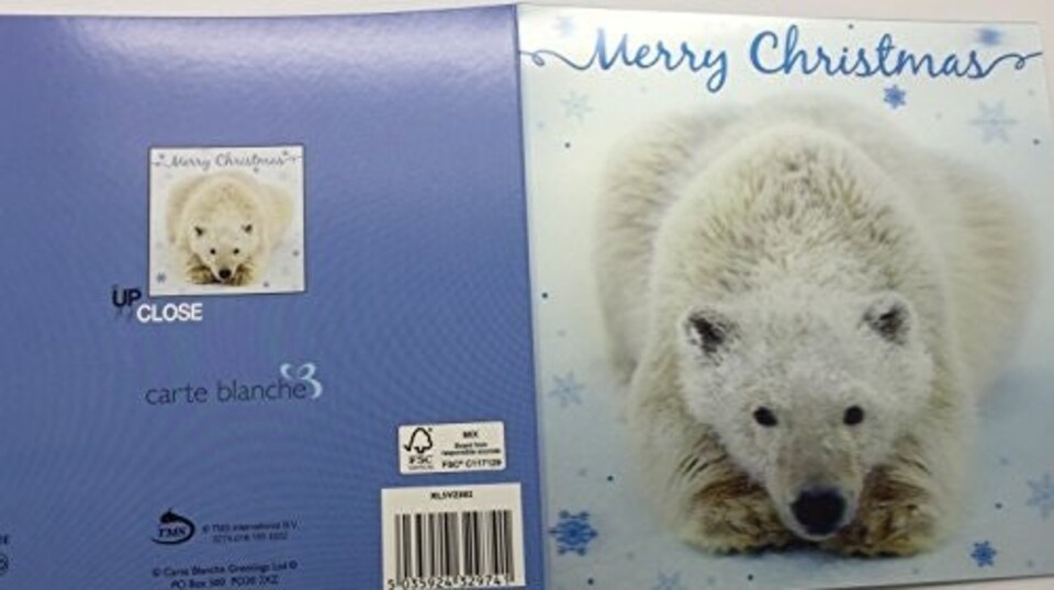 image 1 of 3D Holographic Up Close POLAR BEAR Merry Christmas Greeting Card