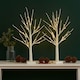 image 2 of Neo Set of 2 LED Pre Lit Twig Tree Lights 60cm Birch Tree Lamp Warm White Lights Battery Operated Decorative Centrepiece Flexible Branches Christmas Wedding Bedroom Home Décor