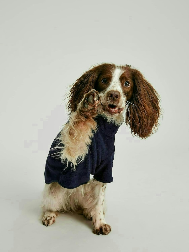 image 1 of Rosewood Joules Navy Fleece For Dogs - Medium