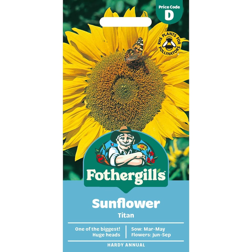 image 1 of Fothergills Premium Sunflower Seeds - Titan