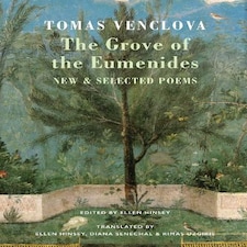 The Grove of the Eumenides Paperback Book