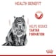 image 6 of Royal Canin Cat Dental Care 8KG