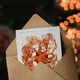 image 3 of Vintage Marine Life Art Card Deep Sea Basket Star Starfish