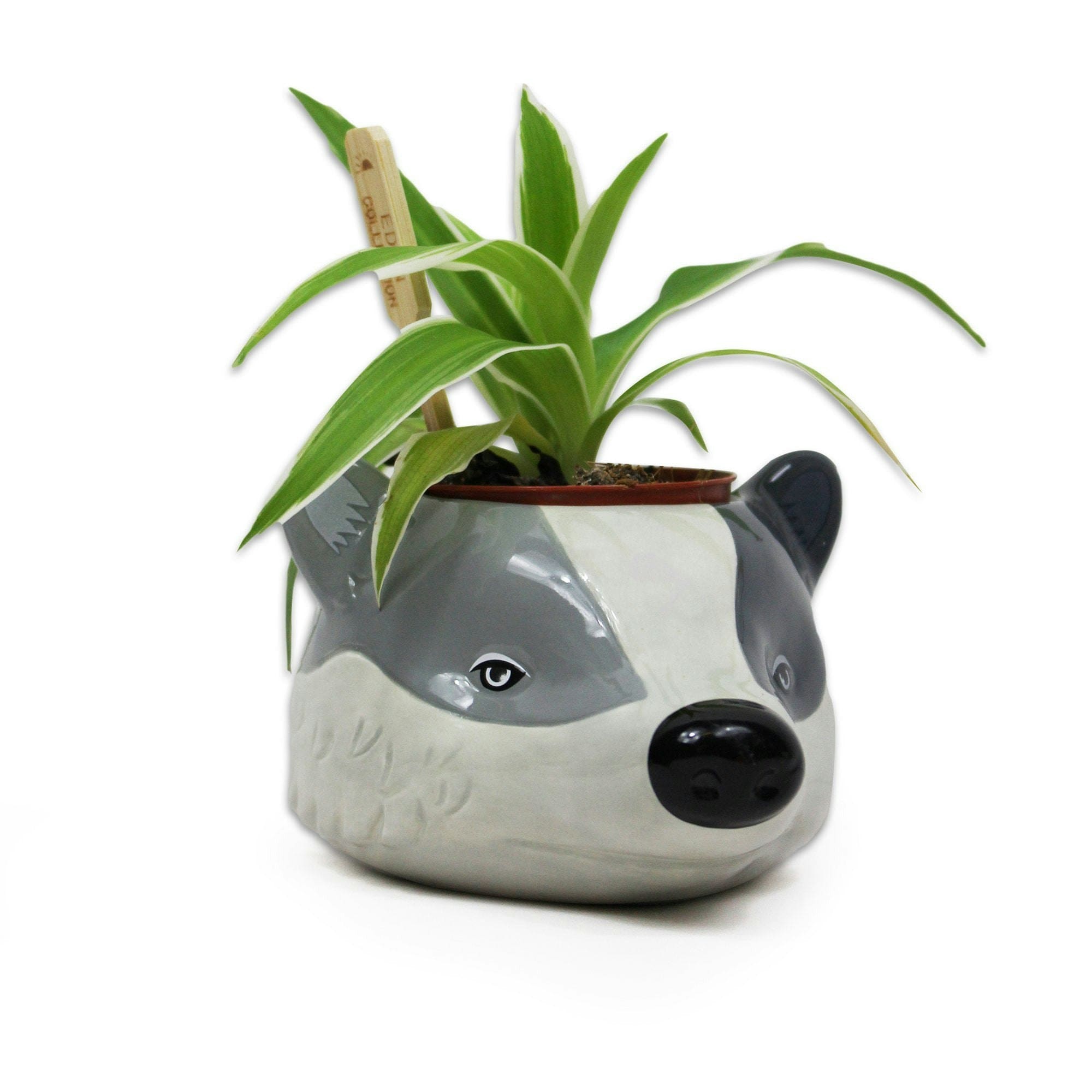 Hufflepuff Plant Pot - Harry Potter
