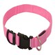 image 2 of Light Up Dog Collar - LED - Bunty Pink | M