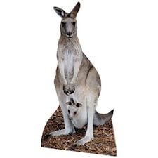 Kangaroo Lifesize Cardboard Cutout - 195cm