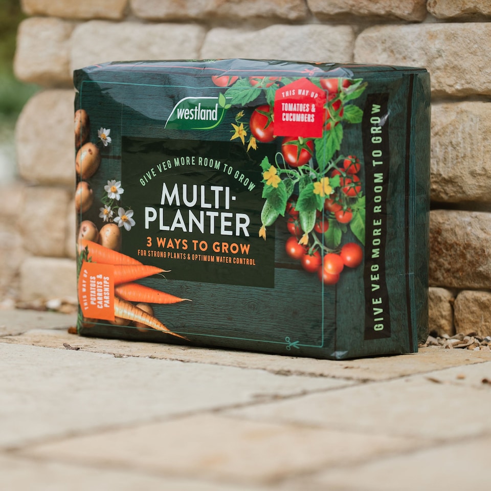 image 1 of Westland Peat Free Multi-Planter Medium 40 Litre