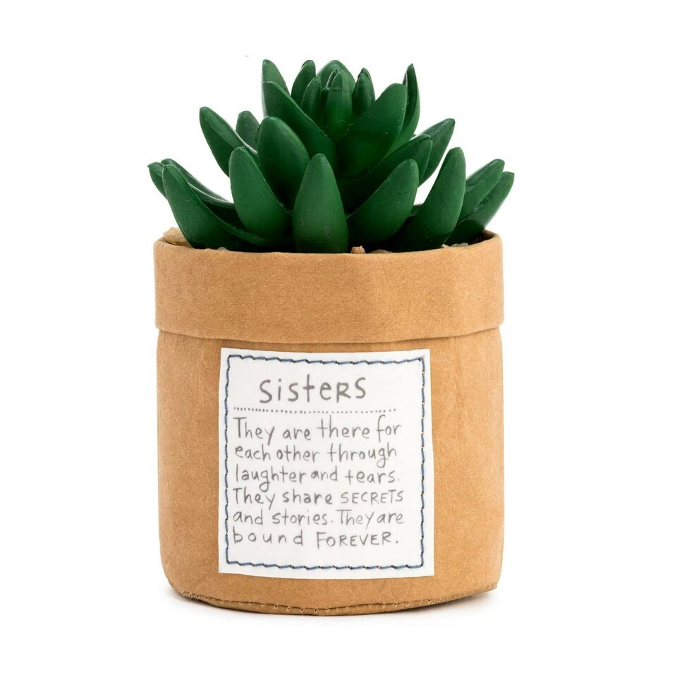 Demdaco Indoor Plant Kindness - Sisters Brown
