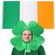 image 1 of Ireland 3x5 ft Flag & Clover Hat Green | One Size