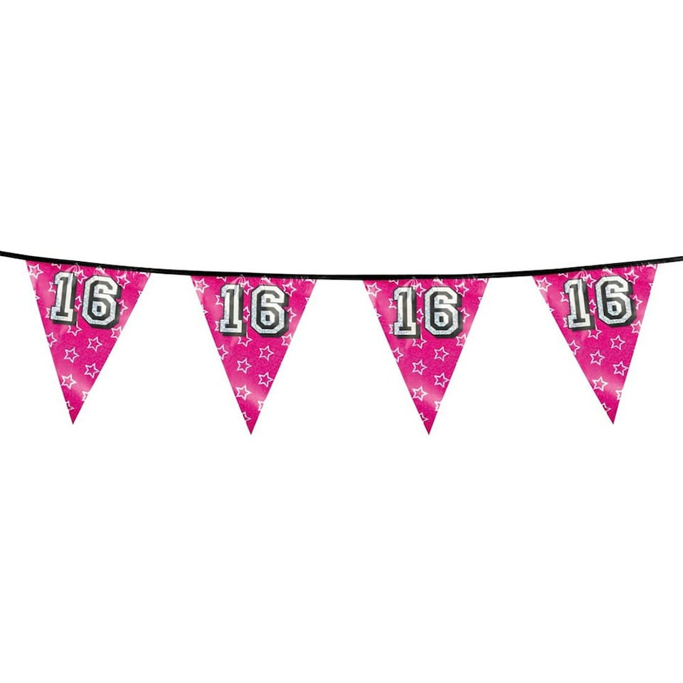 Boland Sweet 16 Holographic Bunting - Pink - One Size