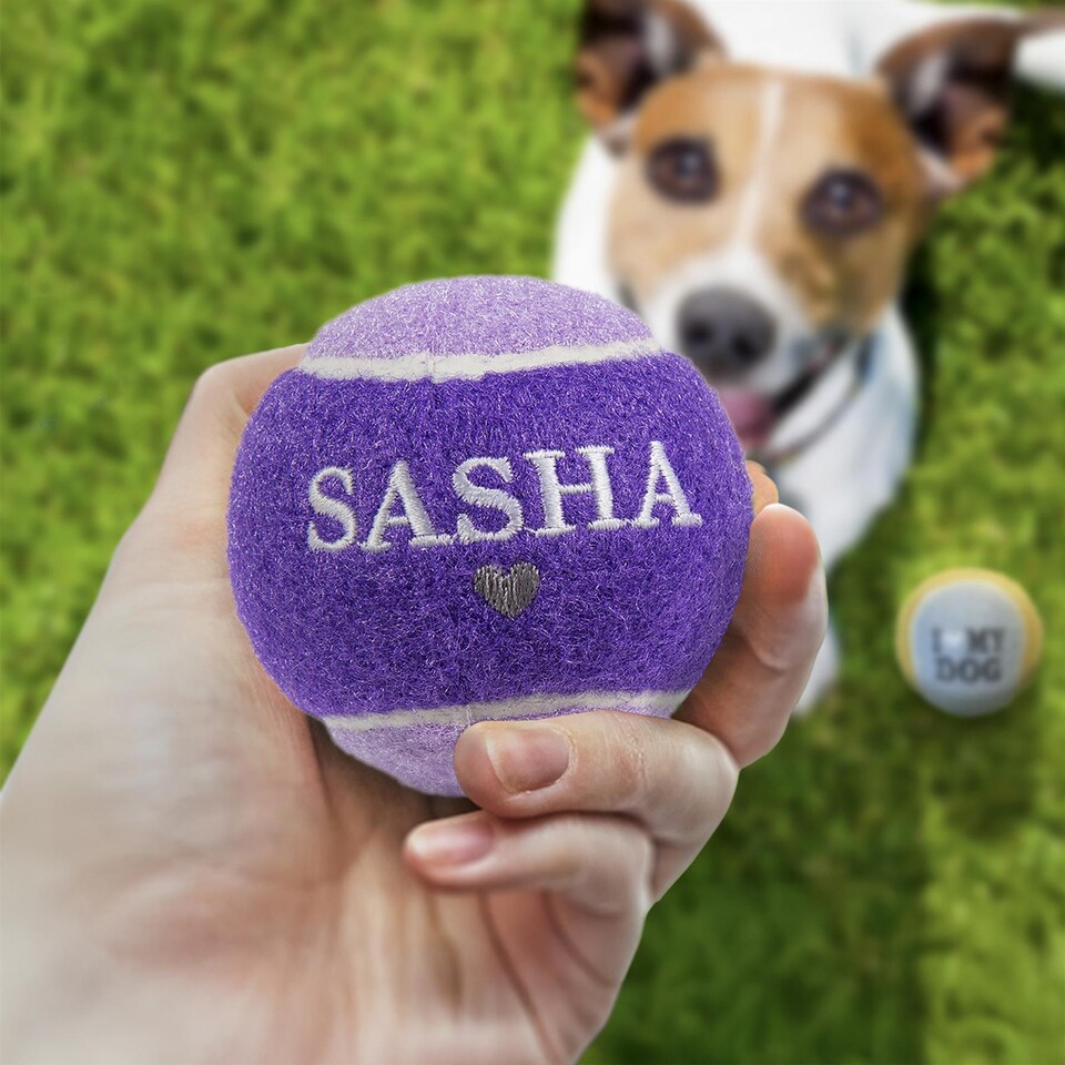 image 1 of Pre-Personalised Dog Ball Gift Pack 2pcs Purple Sasha
