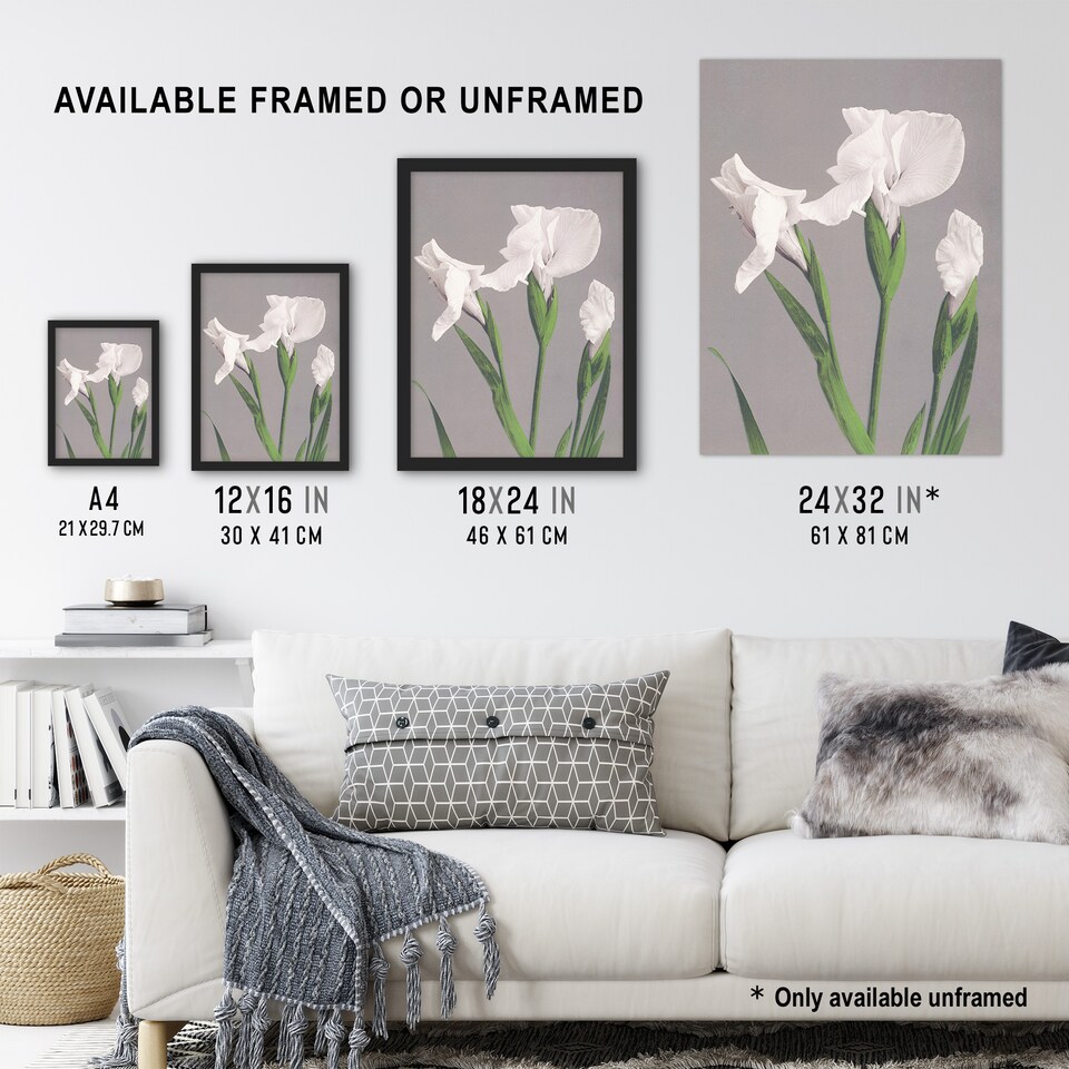 image 1 of White Irises Blooming Flowers Retro Japan Wall Art Print Kazumasa 24x32"